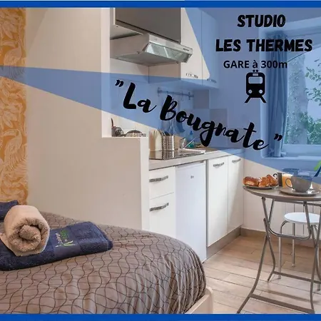 アパート La Bougnate Proche Des Thermes Royat/chamalieres *